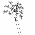 椰子 植物 海辺 夏 7月 8月