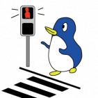 交通安全 横断歩道 信号機 ペンギン 春